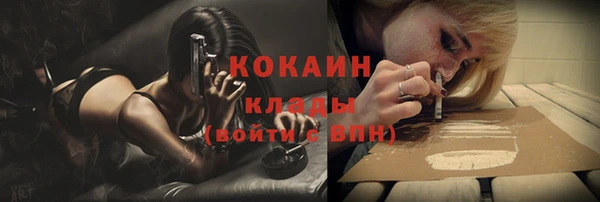 ешки Белокуриха