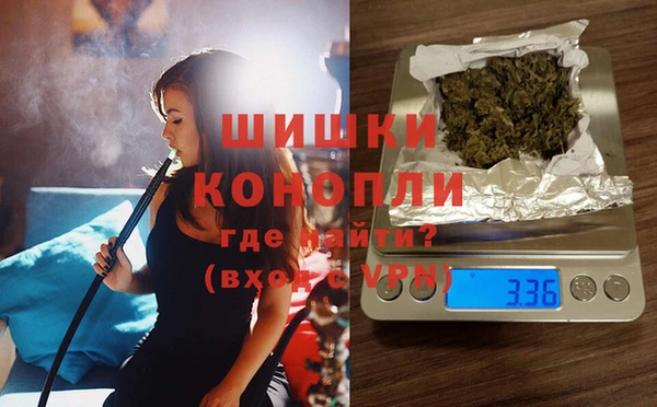 spice Беломорск