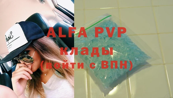 ешки Белокуриха